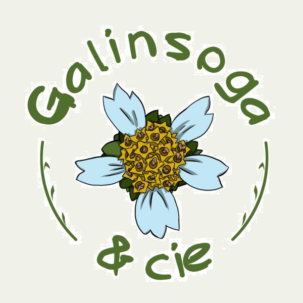 Galinsoga & Cie - Micro-Pépinière - Plantes comestibles, arbustes et arbres fruitiers...