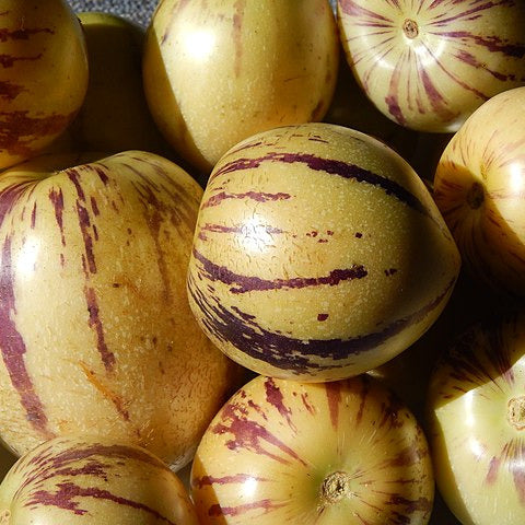 Pepino