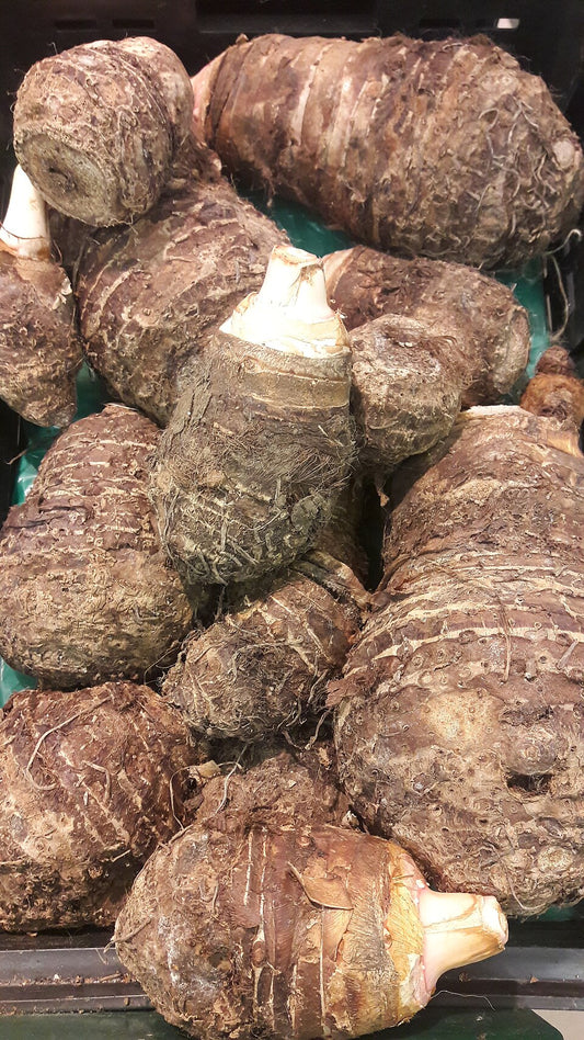 Taro