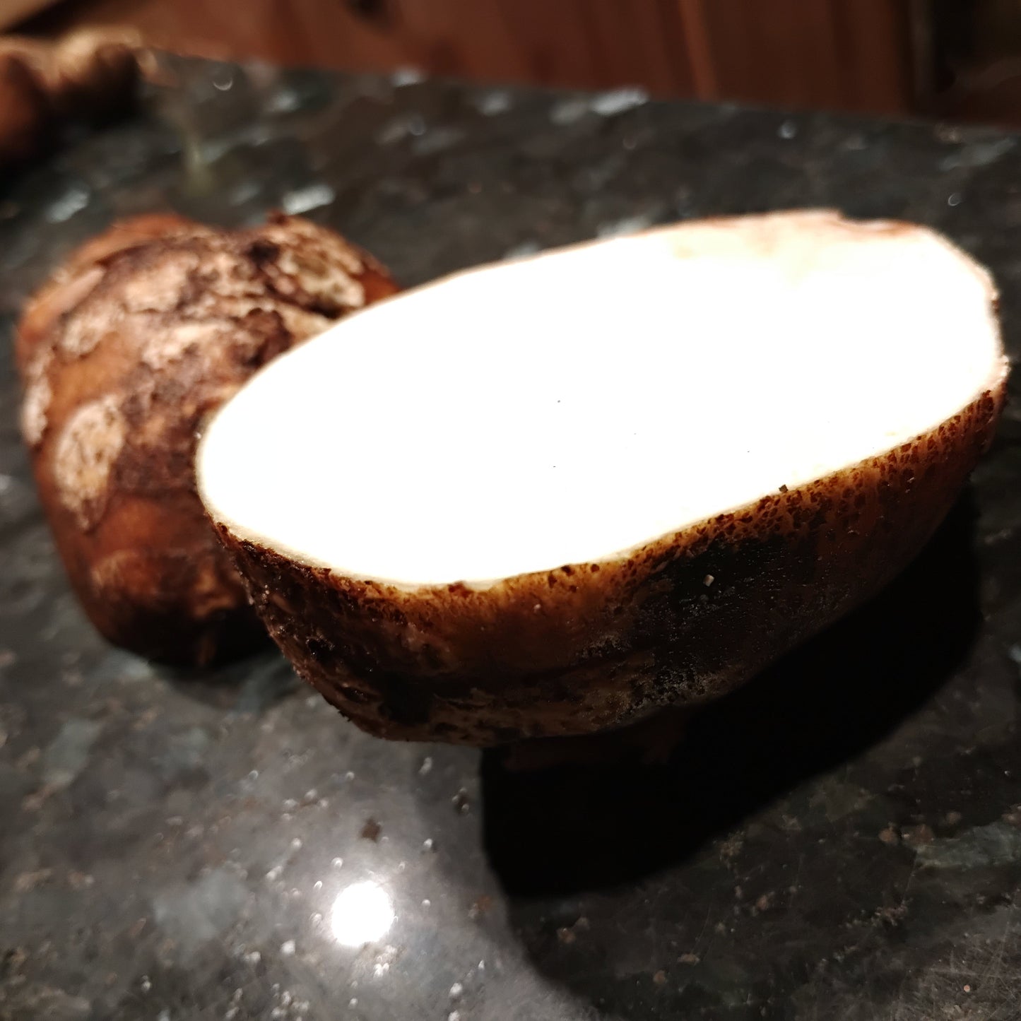 Apios tubéreux ‘Nutty’